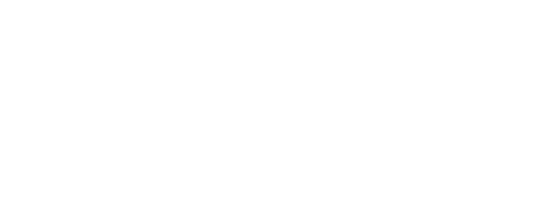 Atelier Nature Hirondelles